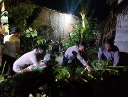 Rumah Kontrakan Di Langkat Rusak Berat Tertimpa Pohon Sawit